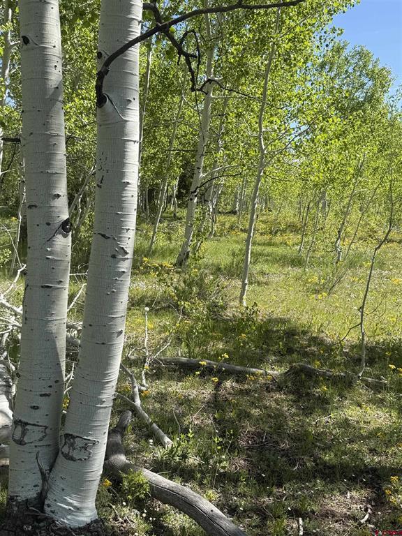 Tbd Divide/ Davewood Road Montrose CO 81403