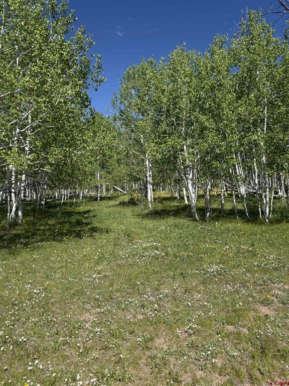 Tbd Divide/ Davewood Road Montrose CO 81403