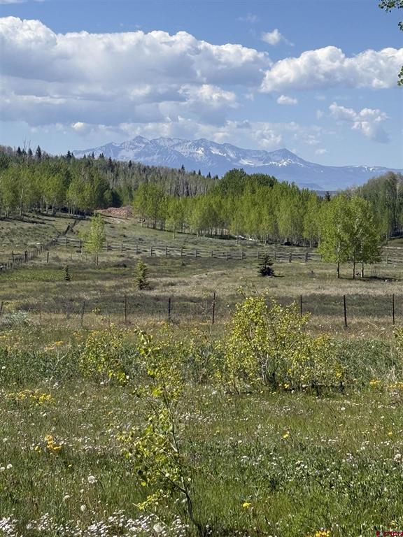 Tbd Divide/ Davewood Road Montrose CO 81403