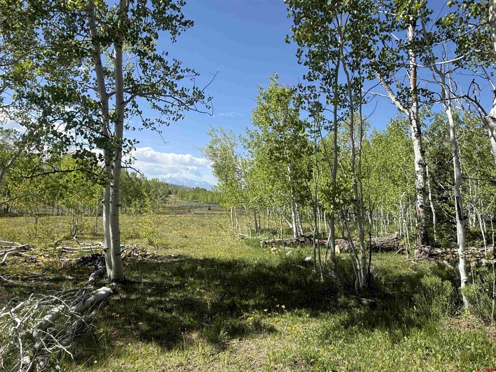 Tbd Divide/ Davewood Road Montrose CO 81403