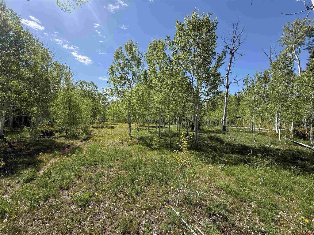 Tbd Divide/ Davewood Road Montrose CO 81403