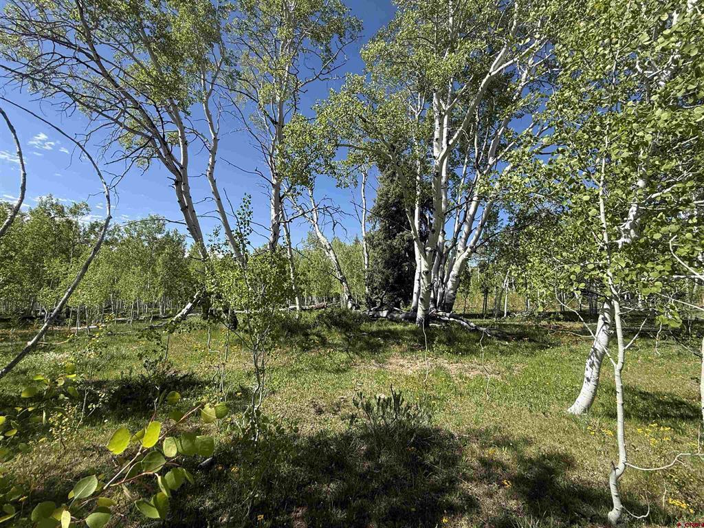 Tbd Divide/ Davewood Road Montrose CO 81403