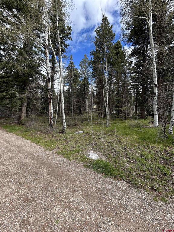 112 Sierra Verde Drive Durango CO 81301