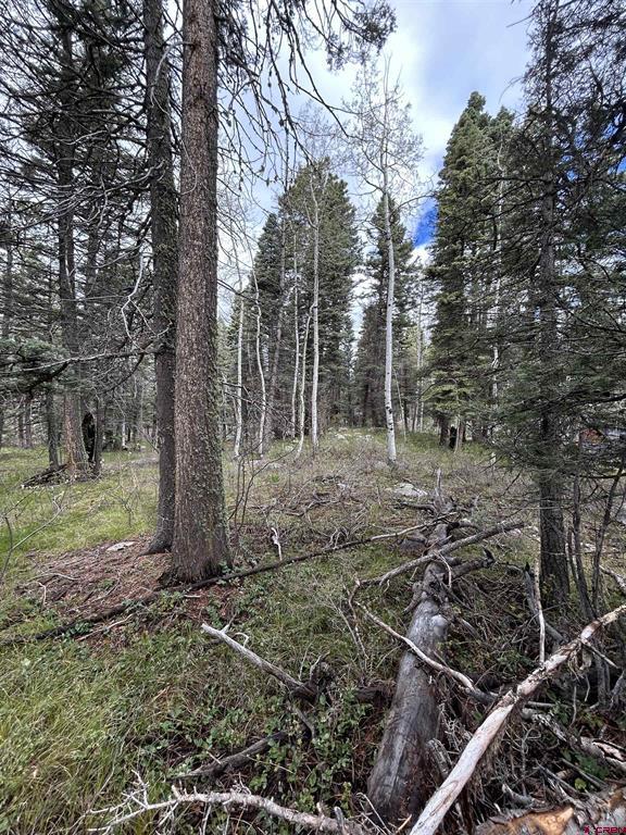 112 Sierra Verde Drive Durango CO 81301