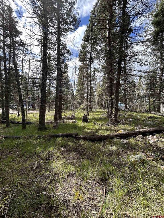 112 Sierra Verde Drive Durango CO 81301