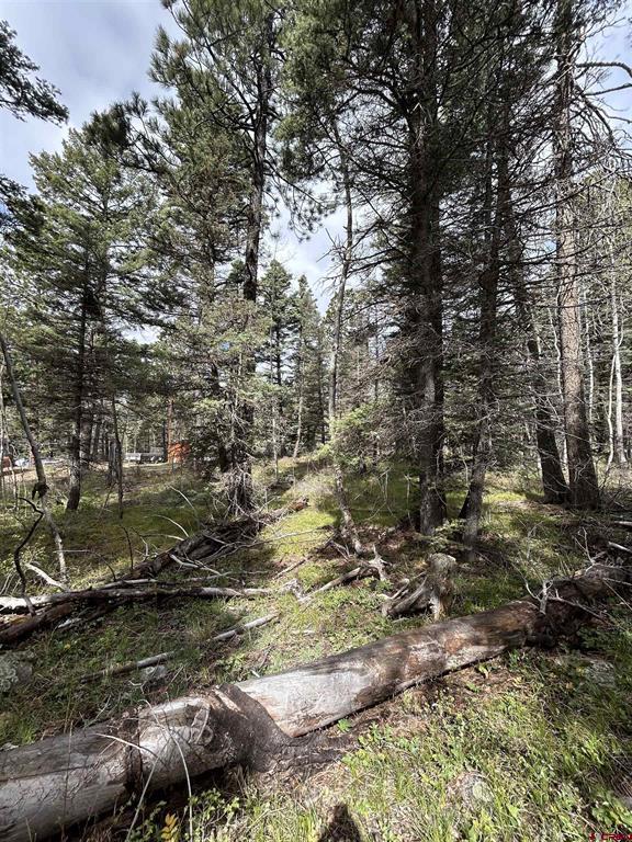112 Sierra Verde Drive Durango CO 81301