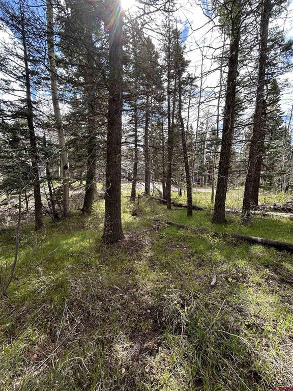 112 Sierra Verde Drive Durango CO 81301