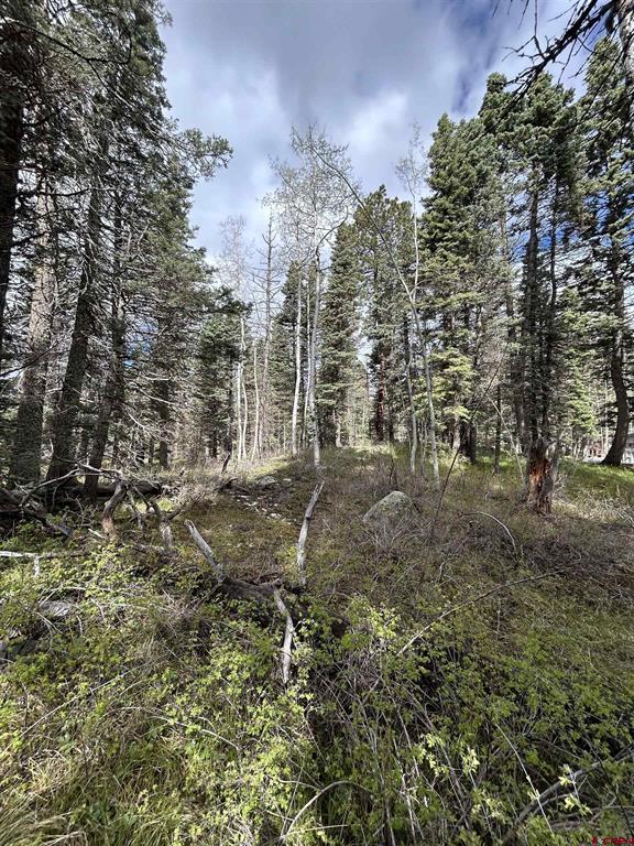 112 Sierra Verde Drive Durango CO 81301