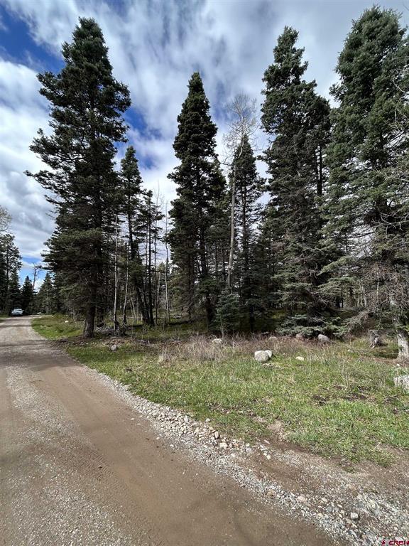 112 Sierra Verde Drive Durango CO 81301