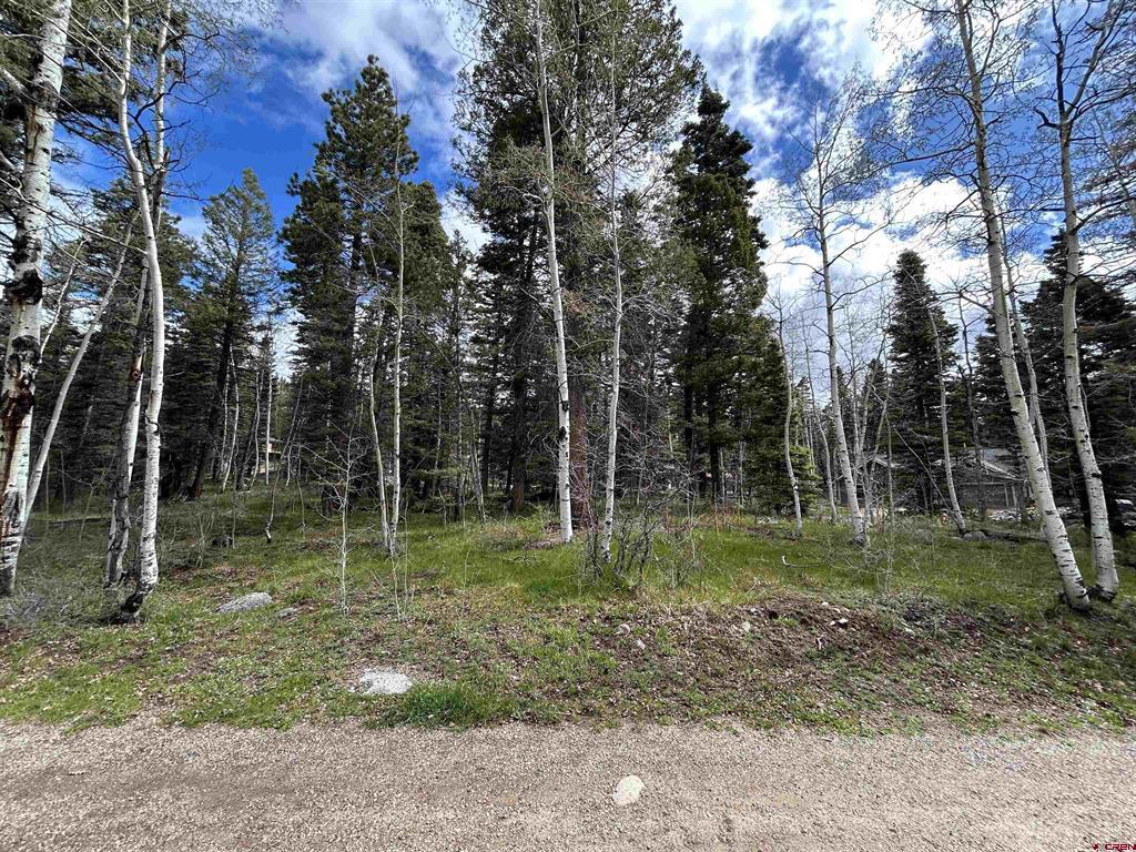 112 Sierra Verde Drive Durango CO 81301