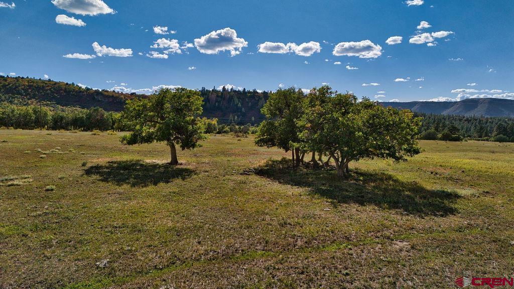 4107 Road 31 Groundhog CO 81324
