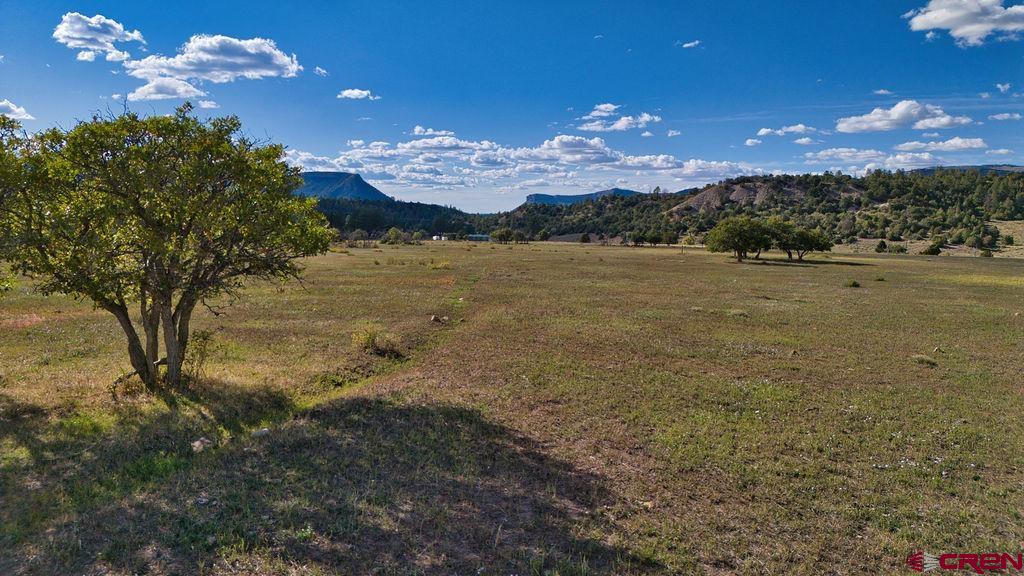 4107 Road 31 Groundhog CO 81324