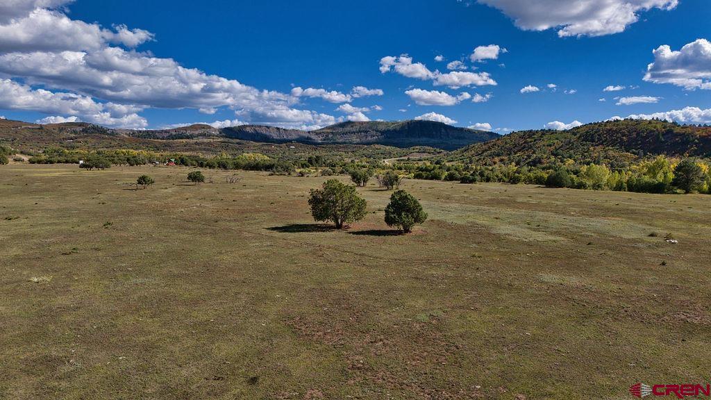 4107 Road 31 Groundhog CO 81324