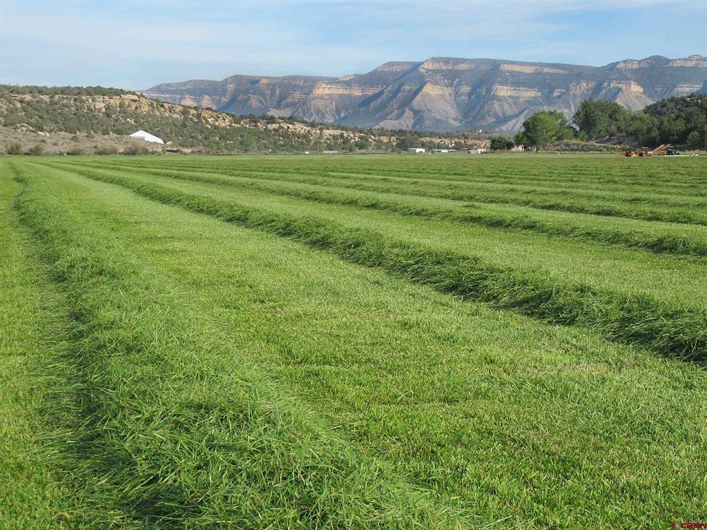 Tbd Lot 2 Road G Cortez CO 81321