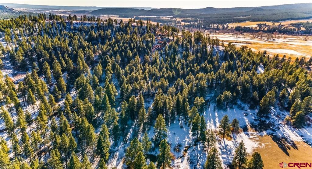 Tbd Lot 11 Beaver Creek Ranch Drive Bayfield CO 81122