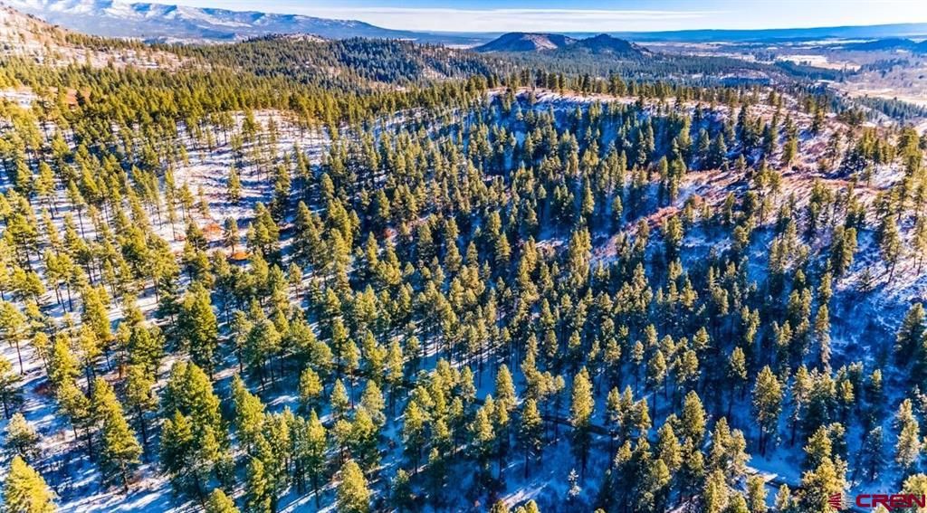 Tbd Lot 11 Beaver Creek Ranch Drive Bayfield CO 81122