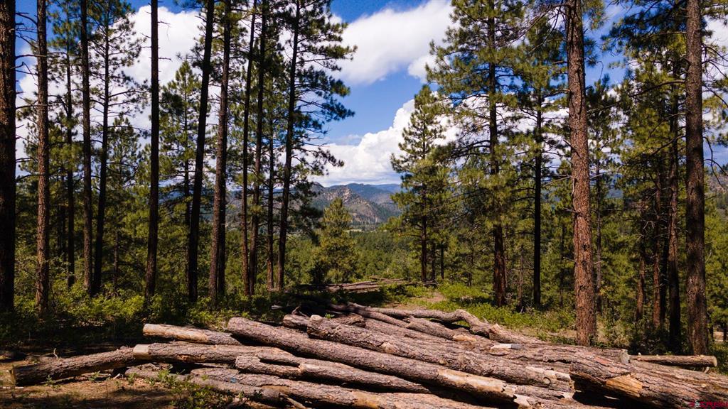 Tbd Lot 11 Beaver Creek Ranch Drive Bayfield CO 81122