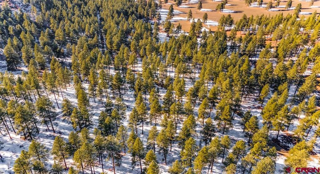Tbd Lot 11 Beaver Creek Ranch Drive Bayfield CO 81122