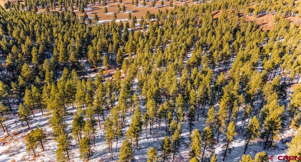 Tbd Lot 11 Beaver Creek Ranch Drive Bayfield CO 81122