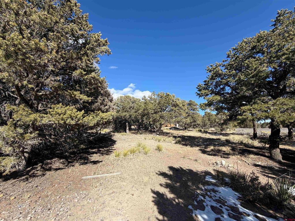 390 Cameron Pass Road South Fork CO 81154