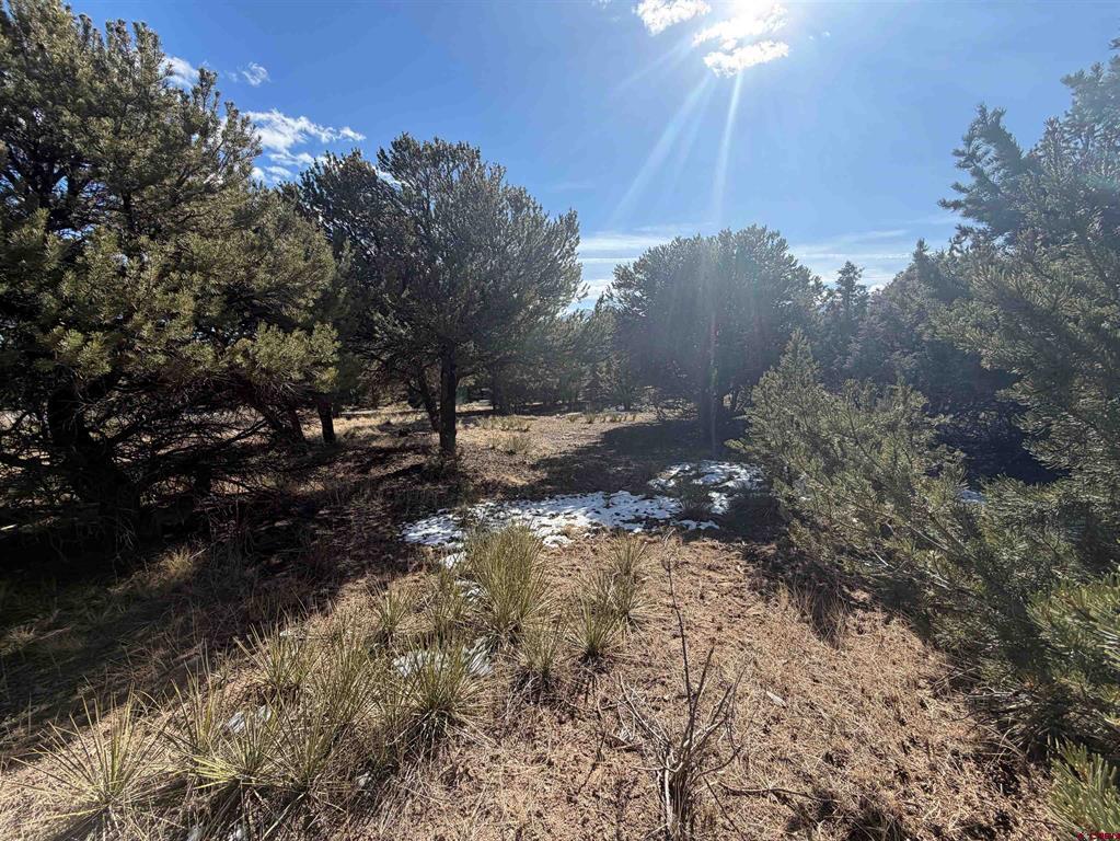 390 Cameron Pass Road South Fork CO 81154