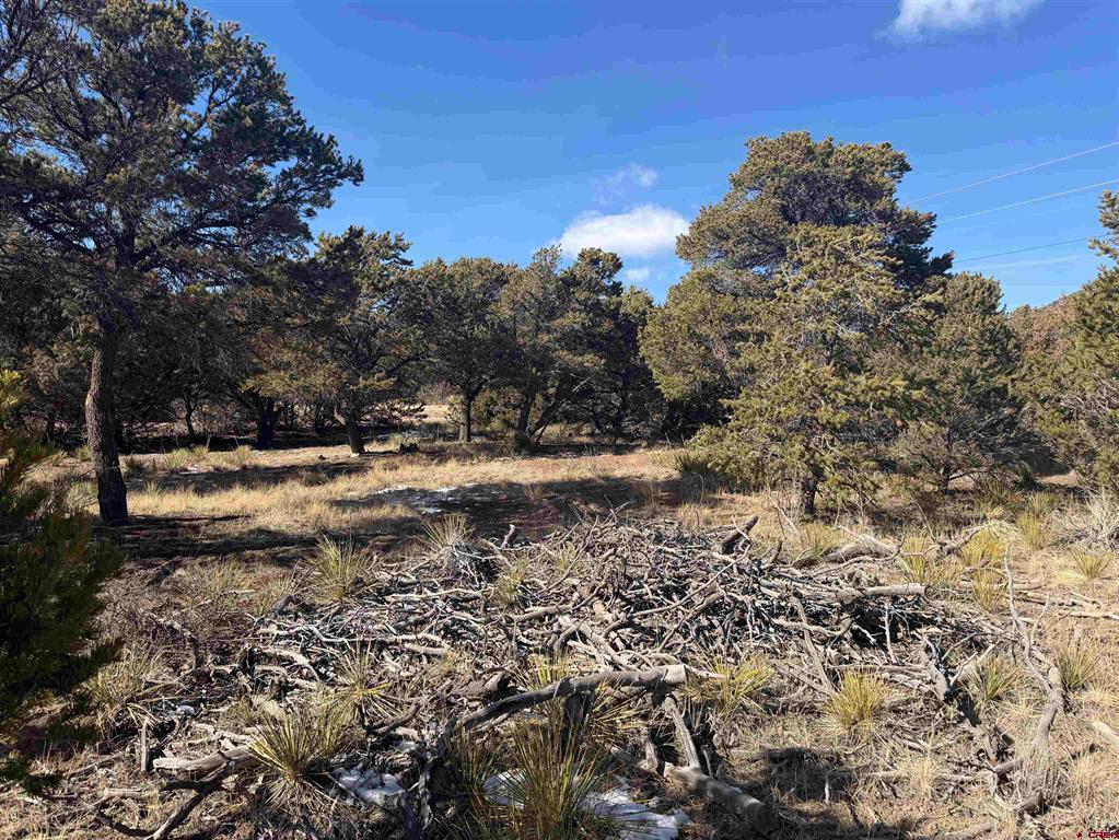 390 Cameron Pass Road South Fork CO 81154