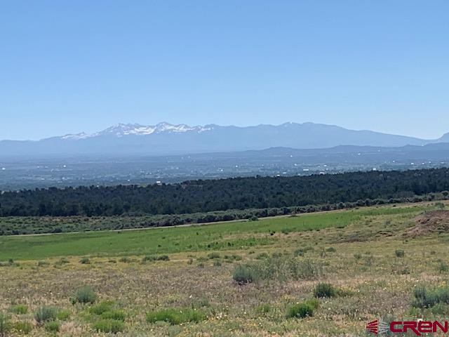 Lot 12 Road 17.9 Cortez CO 81321