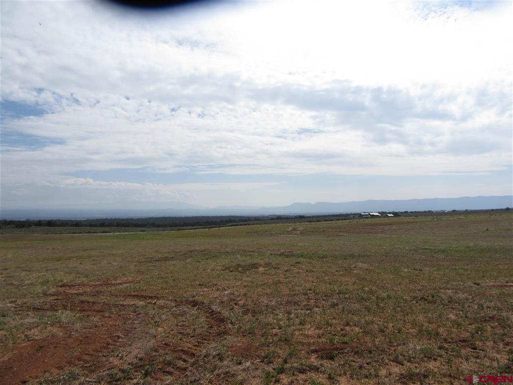 Lot 12 Road 17.9 Cortez CO 81321