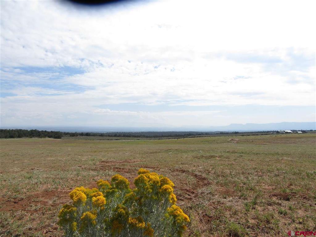 Lot 12 Road 17.9 Cortez CO 81321