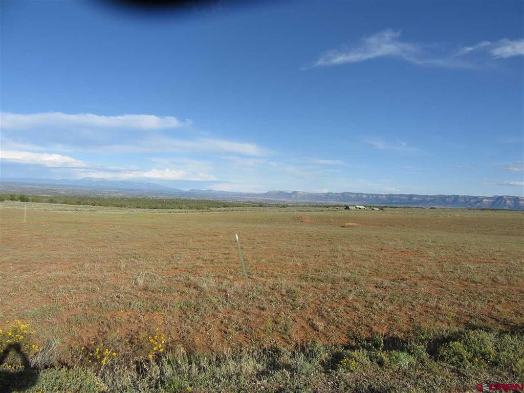Lot 12 Road 17.9 Cortez CO 81321