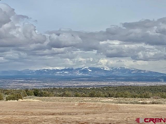 Lot 12 Road 17.9 Cortez CO 81321