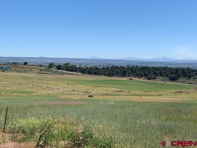 Lot 12 Road 17.9 Cortez CO 81321