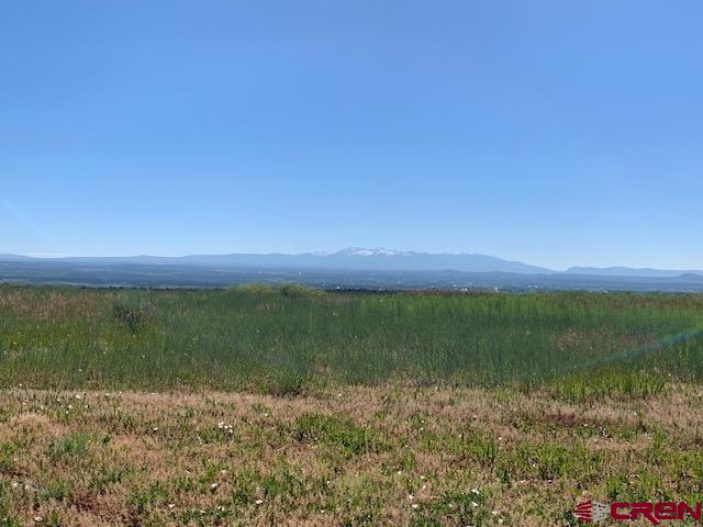 Lot 12 Road 17.9 Cortez CO 81321
