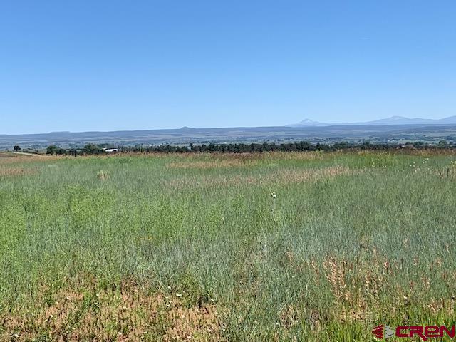 Lot 12 Road 17.9 Cortez CO 81321