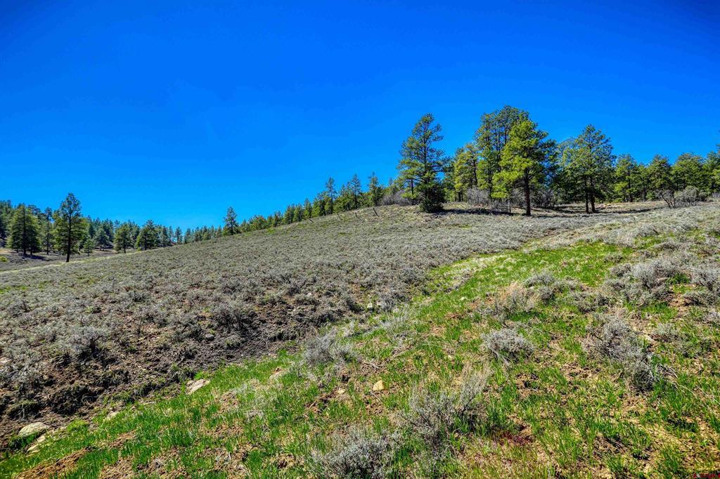 740 River Forest Drive Pagosa Springs CO 81147