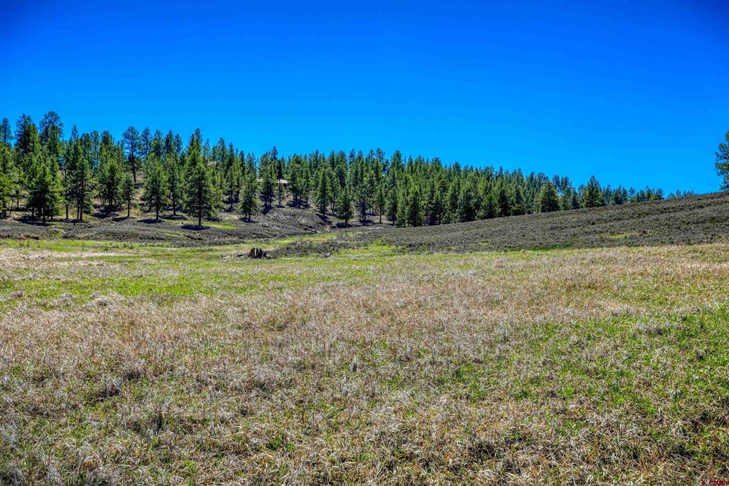 740 River Forest Drive Pagosa Springs CO 81147
