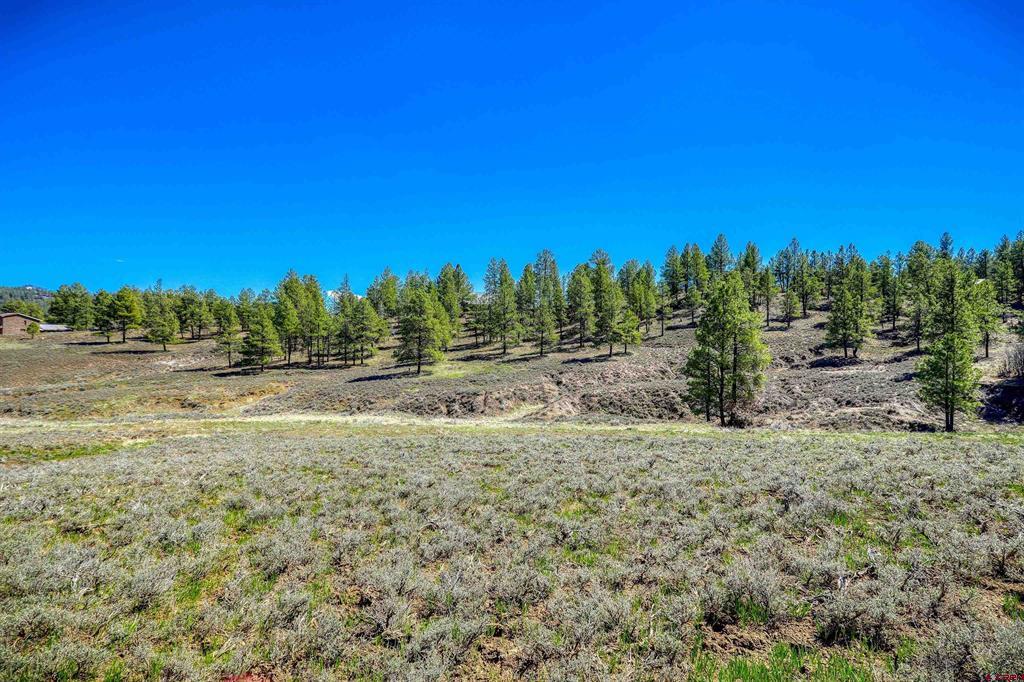 740 River Forest Drive Pagosa Springs CO 81147