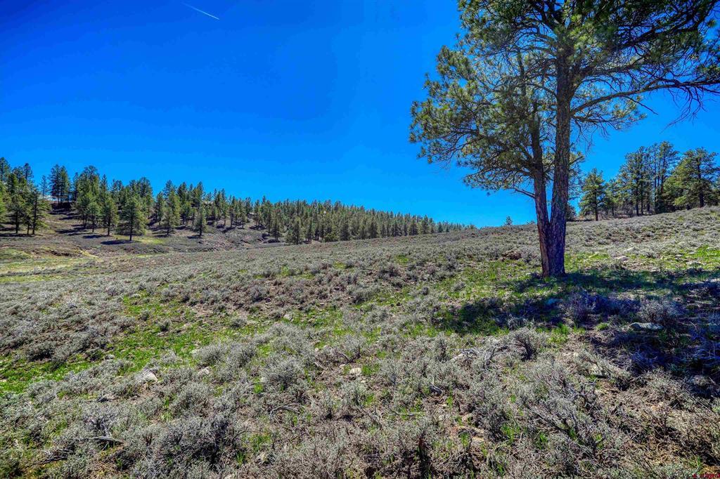 740 River Forest Drive Pagosa Springs CO 81147