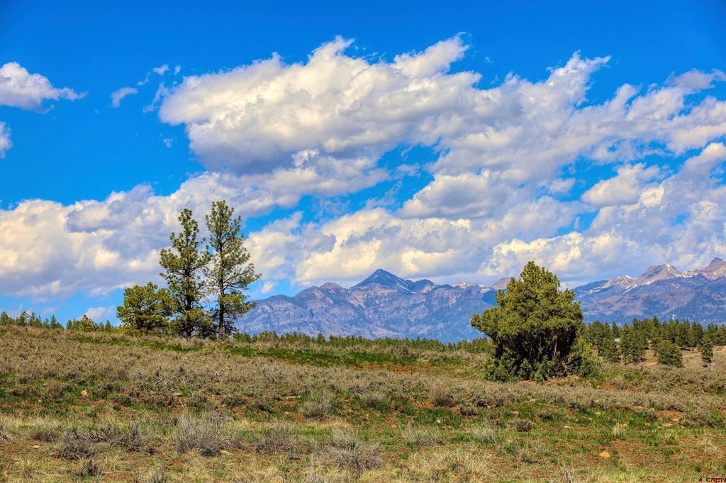740 River Forest Drive Pagosa Springs CO 81147