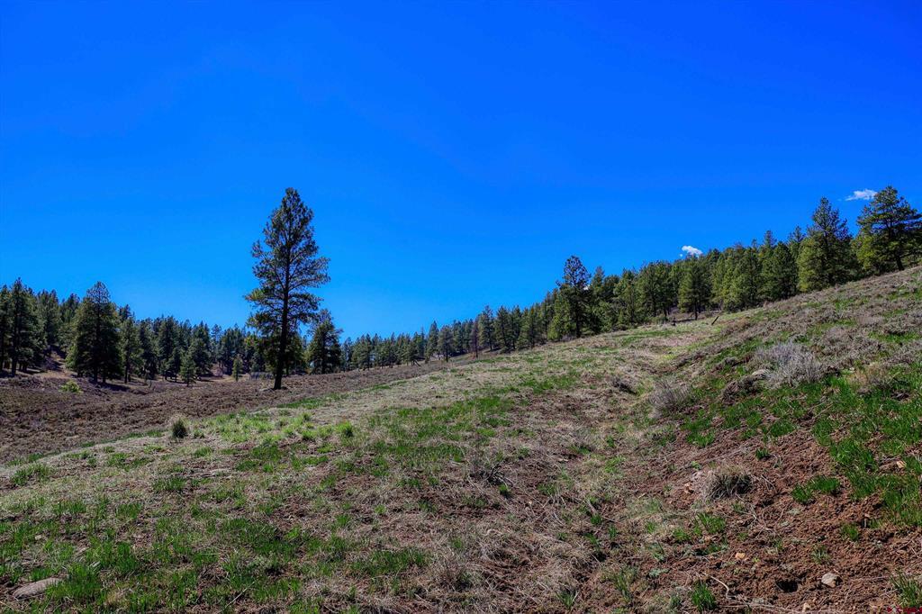 740 River Forest Drive Pagosa Springs CO 81147