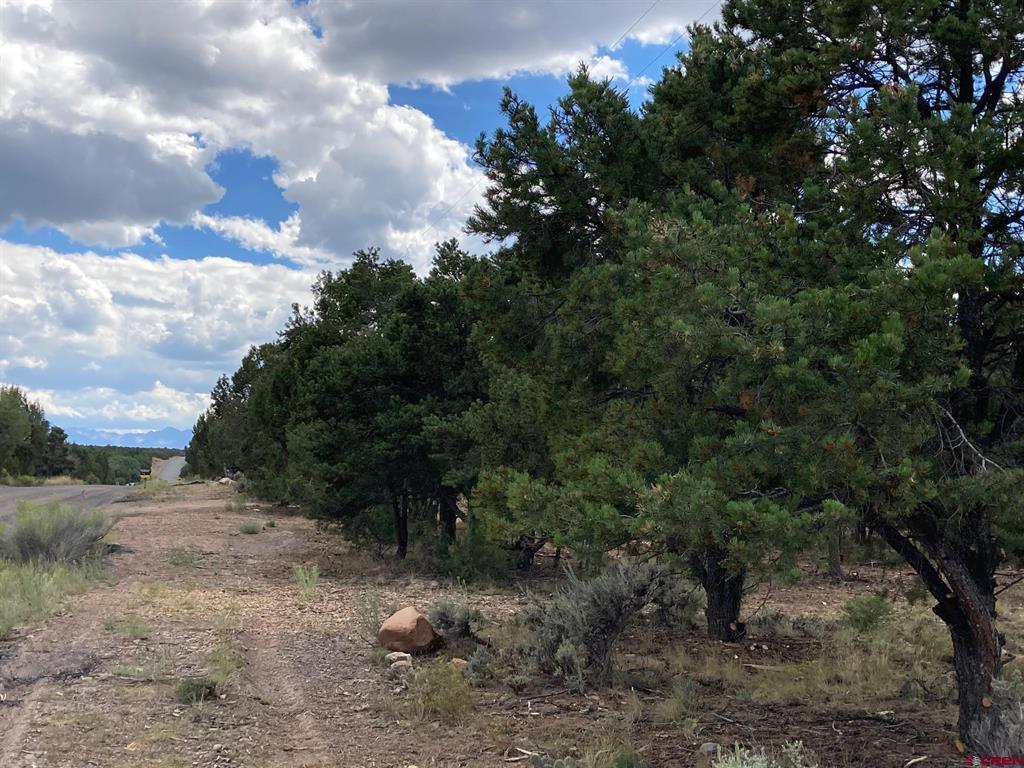 Lot 5 (TBD) County Road 22 Montrose CO 81403