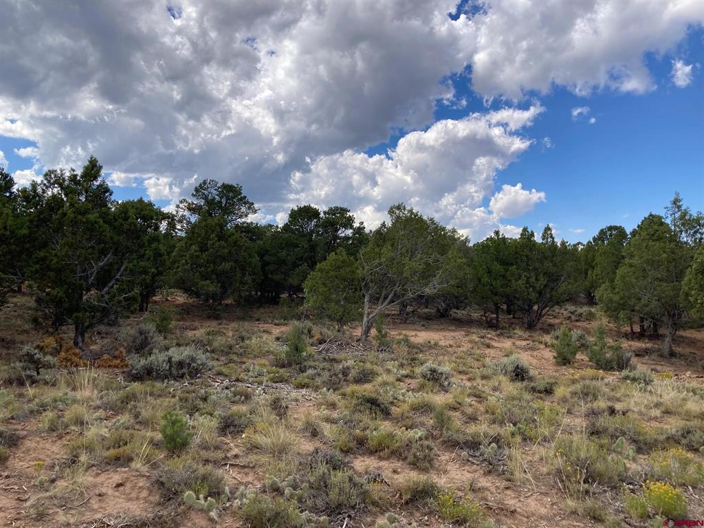 Lot 5 (TBD) County Road 22 Montrose CO 81403