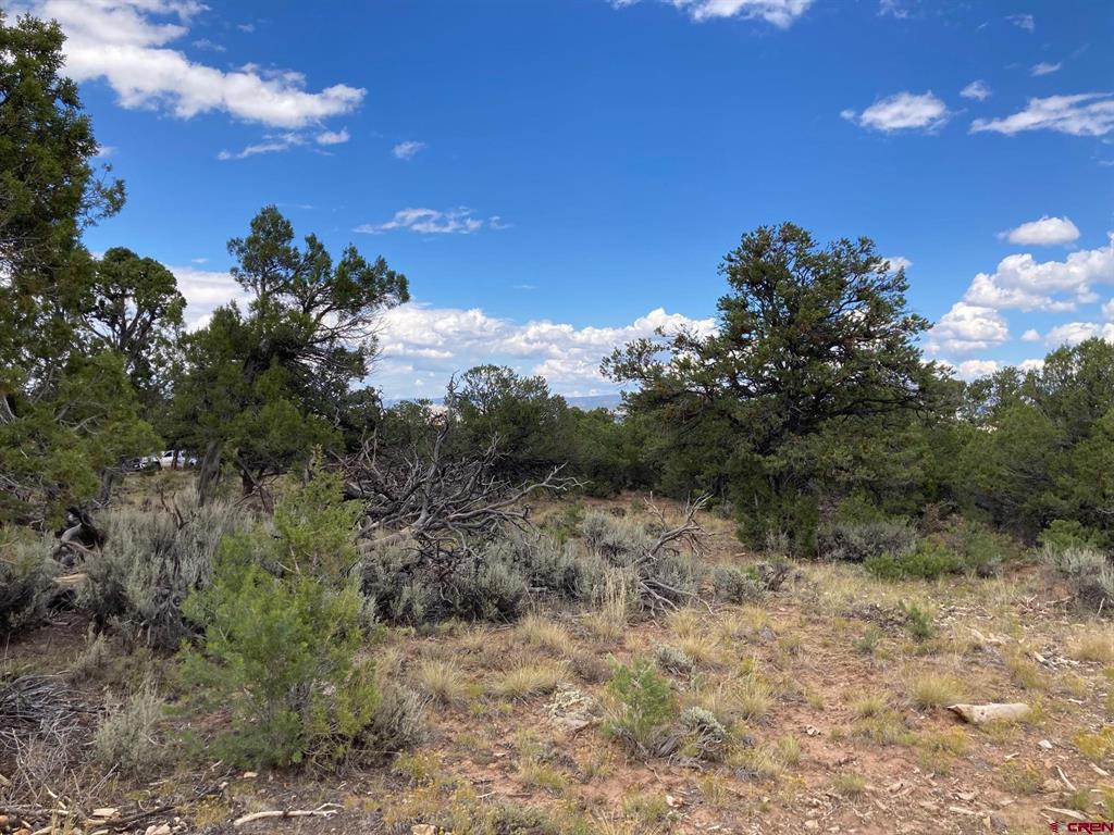 Lot 5 (TBD) County Road 22 Montrose CO 81403