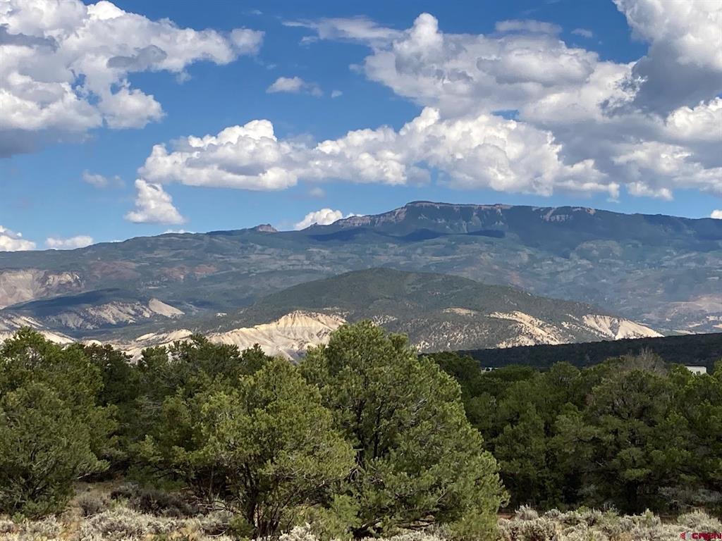 Lot 5 (TBD) County Road 22 Montrose CO 81403