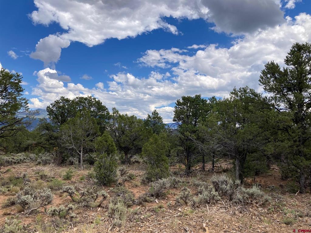 Lot 5 (TBD) County Road 22 Montrose CO 81403