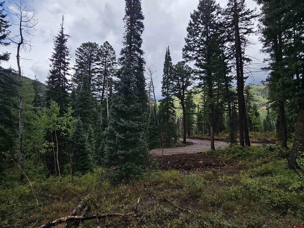 256 Snowden Drive Lot # 3 Durango CO 81301
