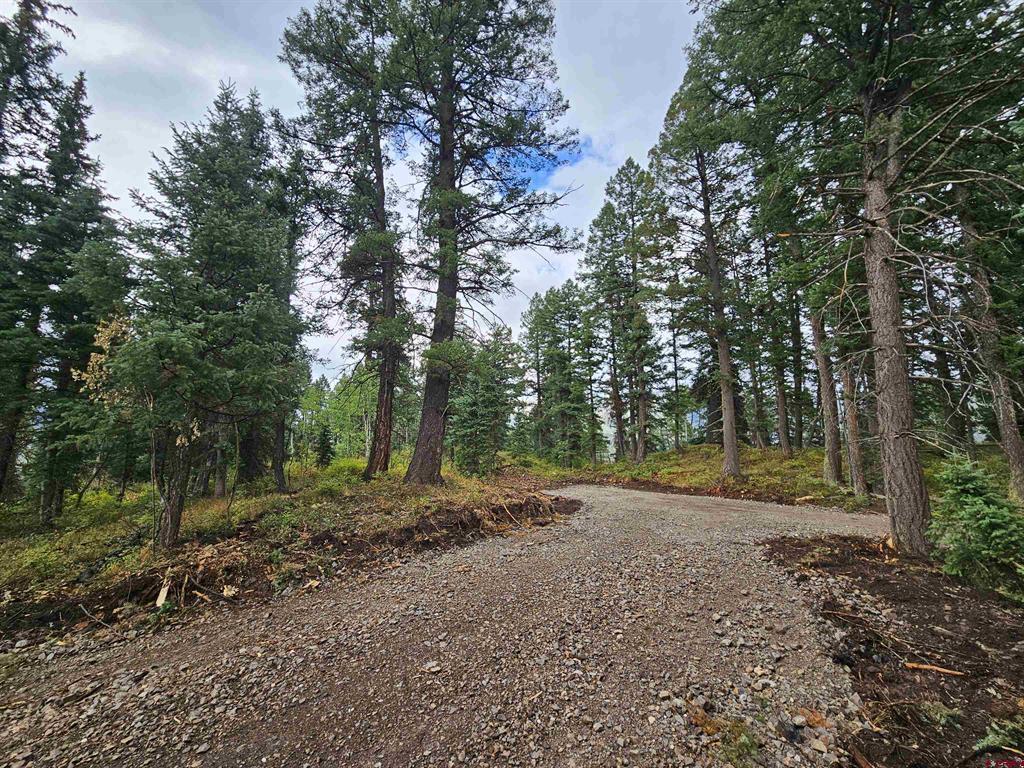 256 Snowden Drive Lot # 3 Durango CO 81301