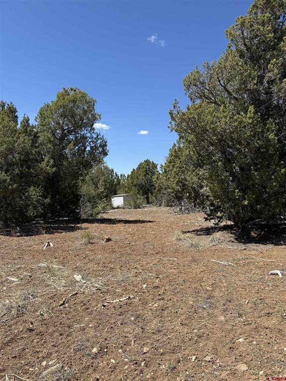 Tbd J8 Road Mancos CO 81328