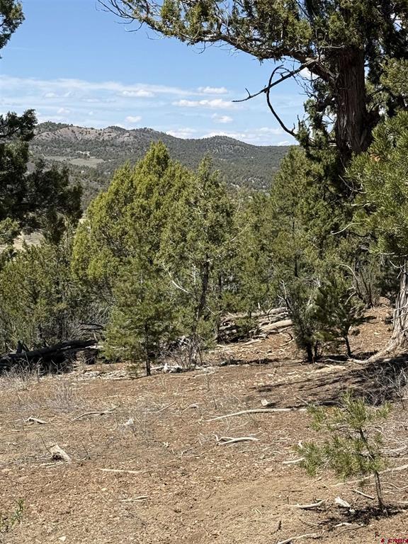 Tbd J8 Road Mancos CO 81328