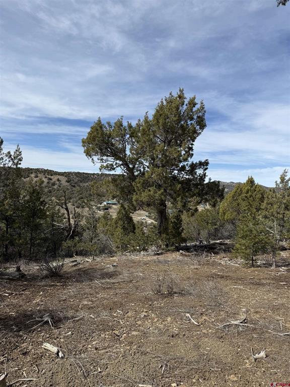 Tbd J8 Road Mancos CO 81328